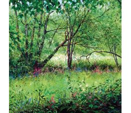 The Eco Friendly Card Co - Rhapsody in Green Card