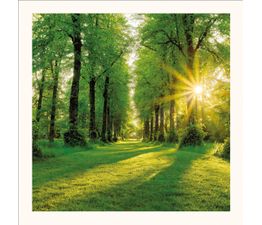 The Eco Friendly Card Co - Summer Sunburst Card