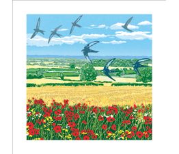 The Eco Friendly Card Co - Summer Swifts Card
