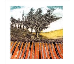 The Eco Friendly Card Co - Tangled &amp; Combed Card