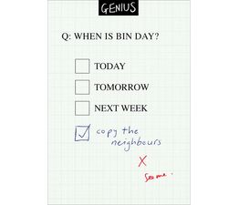 Bin Day