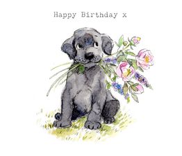Black Labrador Birthday Card