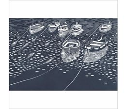 Bobbing around the Harbour