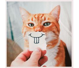 Buck Tooth Kitty Greetings Card