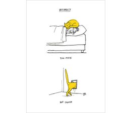 Cat Behaviour Greetings Card