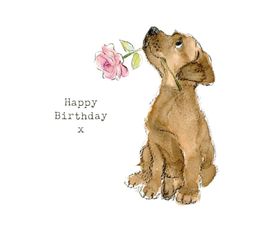 Chocolate Labrador With Flower Greetings Card