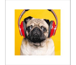 Doggy DJ Greetings Card