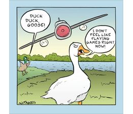 Duck! Duck, Goose! Greetings Card
