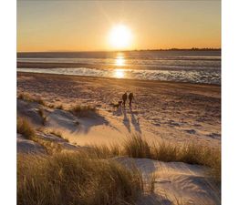 East Head, West Sussex Greetings Card