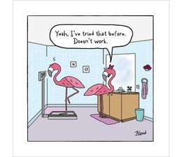 Flamingo Scales Greetings Card