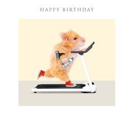 Hamster On Treadmill Greetings Card