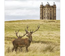 Lyme House Park and Garden, Cheshire Greetings Card