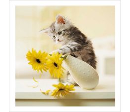 Mischief Maker Greetings Card