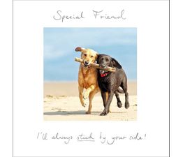 Partner in Crime Greetings Card