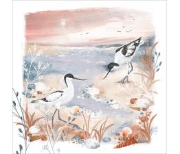 Pied Avocets Greetings Card