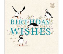 Puffin Capers Greetings Card