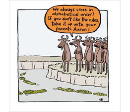 River Crossing Greetings Card