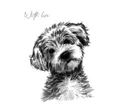 Cute Dog Greetings Card