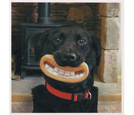 Smile Gromit Greetings Card