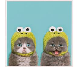 Twin Cat Hat Greetings Card