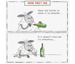 Wine First Aid Greetings Card