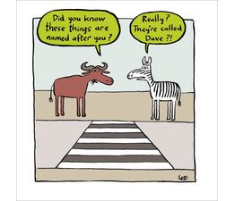 Zebra Crossing Greetings Card