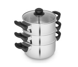 Swan - Towerhouse 18cm Steamer