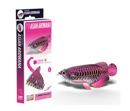 EUGY Asian Arowana
