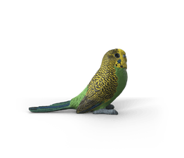 Schleich - Budgie