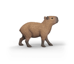 Schleich - Capybara