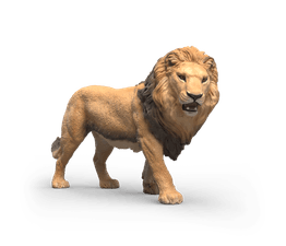 Schleich - Lion