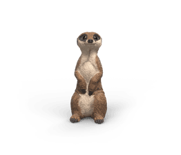 Schleich - Meerkat