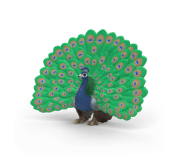 Schleich - Peacock