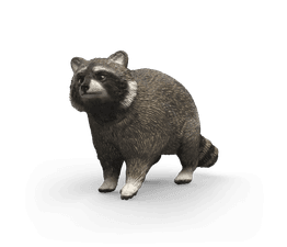 Schleich - Racoon