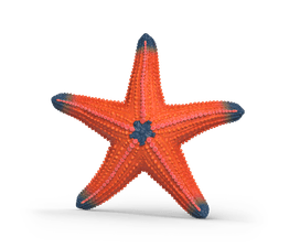 Schleich - Starfish Colour Change