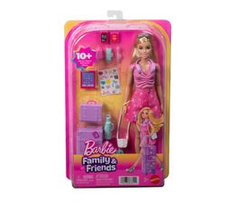 Barbie - Family &amp; Friends Malibu Doll &amp; Accessories