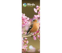 Otter House - Birds RSPB Slim Calendar 2027