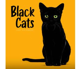 Otter House - Black Cats Wall Calendar 2027