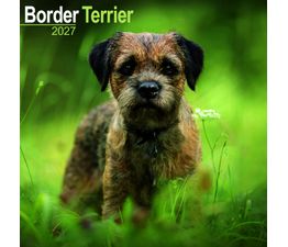 Otter House - Border Terrier Wall Calendar 2027