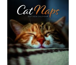 Otter House - Cat Naps Easel Calendar 2027