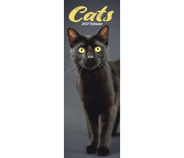 Otter House - Cats Slim Calendar 2027