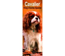 Otter House - Cavalier King Charles Spaniel Slim Calendar 2027