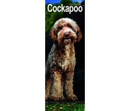 Otter House - Cockapoo Slim Calendar 2027