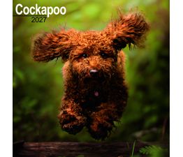 Otter House - Cockapoo Wall Calendar 2027
