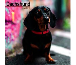 Otter House - Dachshund Wall Calendar 2027