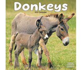 Otter House - Donkeys Wall Calendar 2027