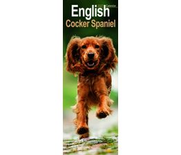 Otter House - English Cocker Spaniel Slim Calendar 2027