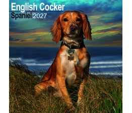 Otter House - English Cocker Spaniel Wall Calendar 2027