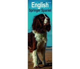 Otter House - English Springer Spaniel Slim Calendar 2027