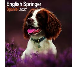 Otter House - English Springer Spaniel Wall Calendar 2027